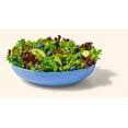 thumbnail image 2 of Backyard Farms Spring Mix Pre-Washed Lettuce, 4 oz Resealable Package, Fresh, 2 of 4