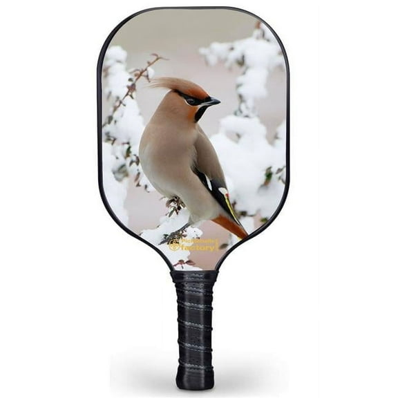 Pickleball Factory PB0004-7-C Best Pickleball Paddle - Peace Bird Outdoor Voices Pickleball, Official Pickleball Balls, Carbonfiber Graphite