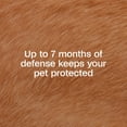 thumbnail image 4 of ADAMS Flea & Tick Control Collar for Dogs, 7-Month Protection, Adjustable Collar Fits Dogs & Puppies, Kills Fleas & Ticks, 4 of 11
