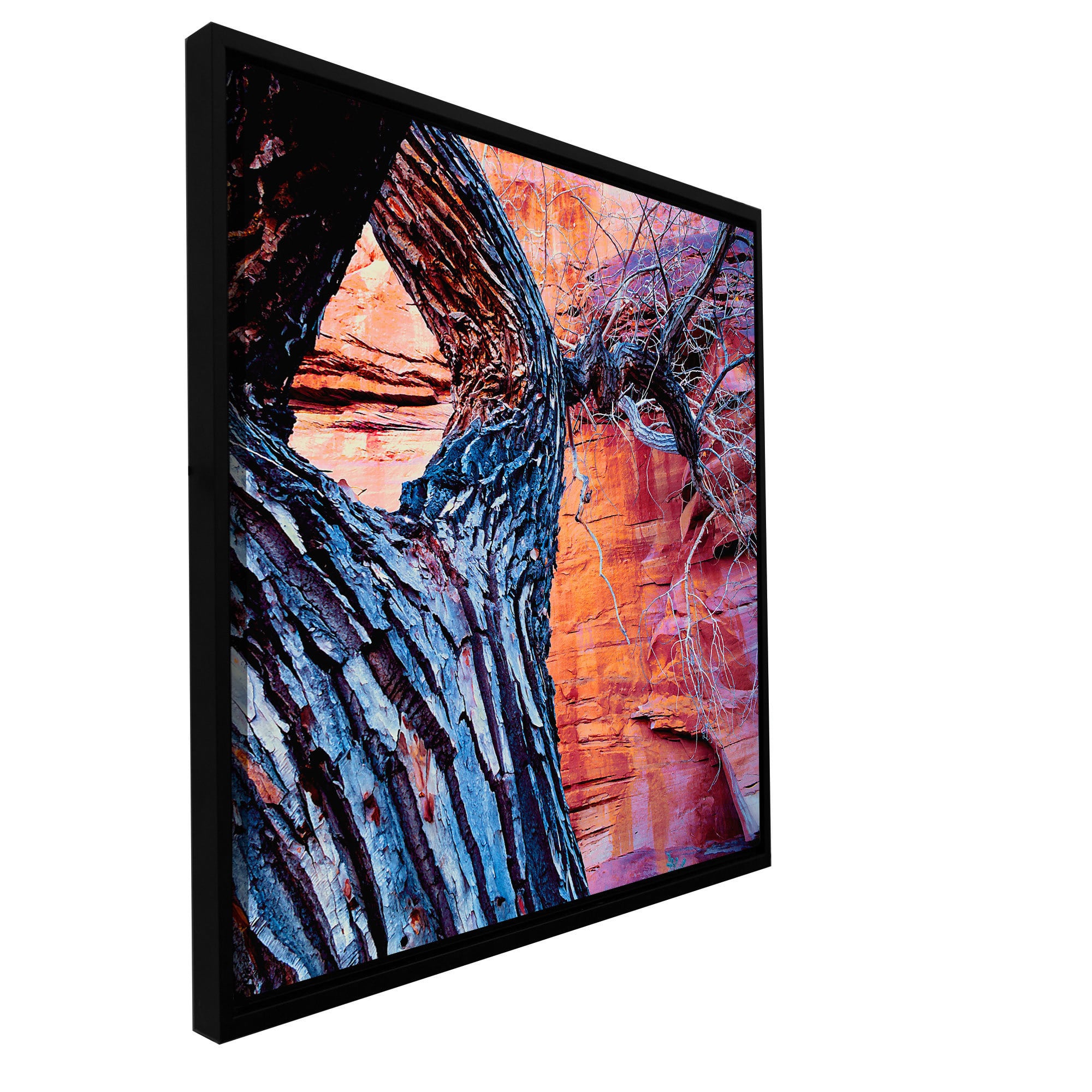 ArtWall Dean Uhlinger "In The Escalante" Floater Framed Gallery-Wrapped Canvas