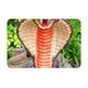 thumbnail image 1 of Balery Cobra Snake Felpudo de franela, resistente a las manchas y a la decoloración, para uso interior y exterior, fácil de limpiar, 40 x 60 cm, 1 of 7