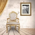 thumbnail image 3 of PhotoINC Studio 15x18 Gold Ornate Wood Framed with Double Matting Museum Art Print Titled - Calla No. 6, 3 of 4