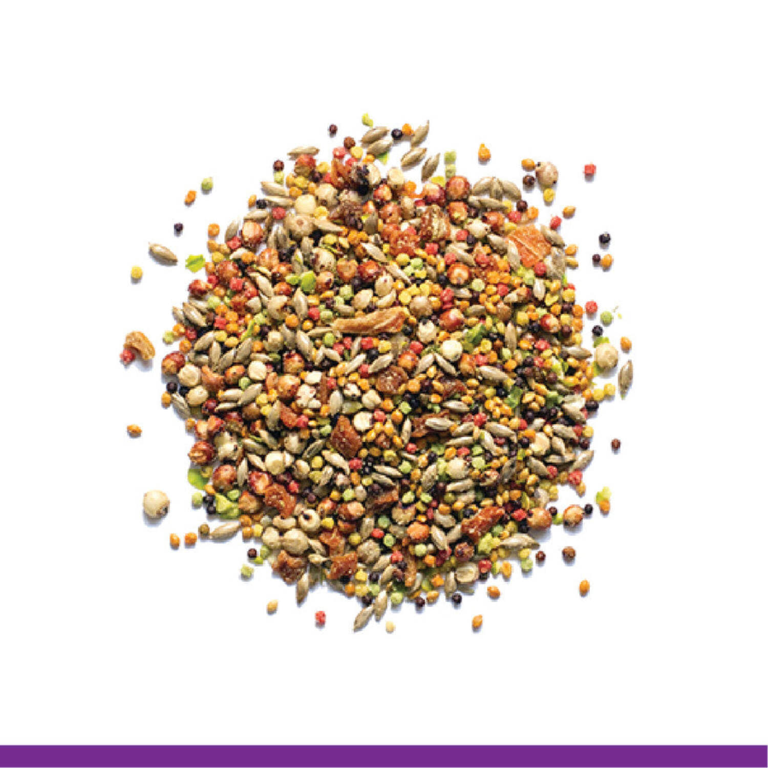 ZuPreem Pure Fun Bird Seed