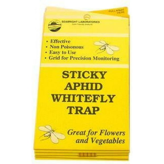 White Fly Traps