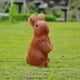 thumbnail image 5 of Conejito de Primavera, Regalo de Mesa, Decoración de Pascua, Figura Decorativa, Decoración de Conejo., 5 of 7