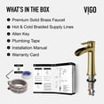 thumbnail image 5 of VIGO Niko Single Handle Single-Hole Bathroom Vessel Faucet in Matte Brushed Gold, 5 of 13