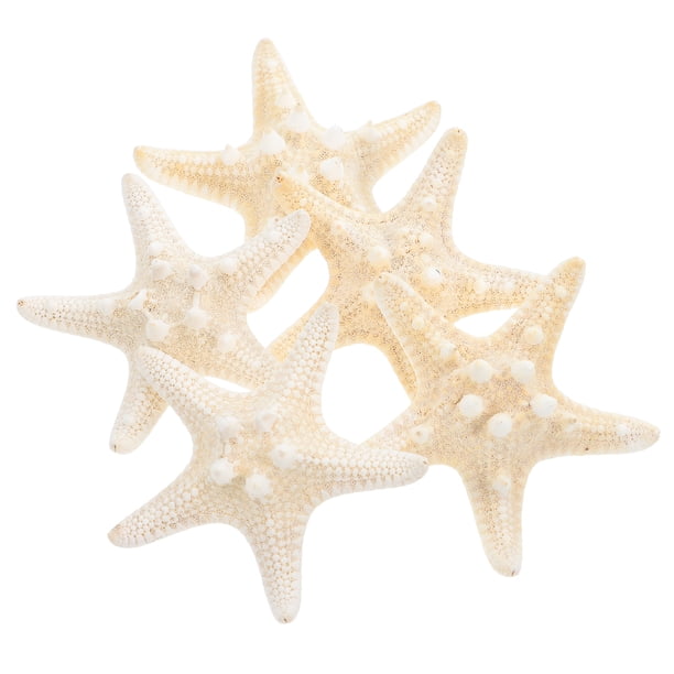 5 adornos naturales de estrellas de mar, decoración con temática oceánica, accesorios para fotos, decoración para fiestas y hogar.