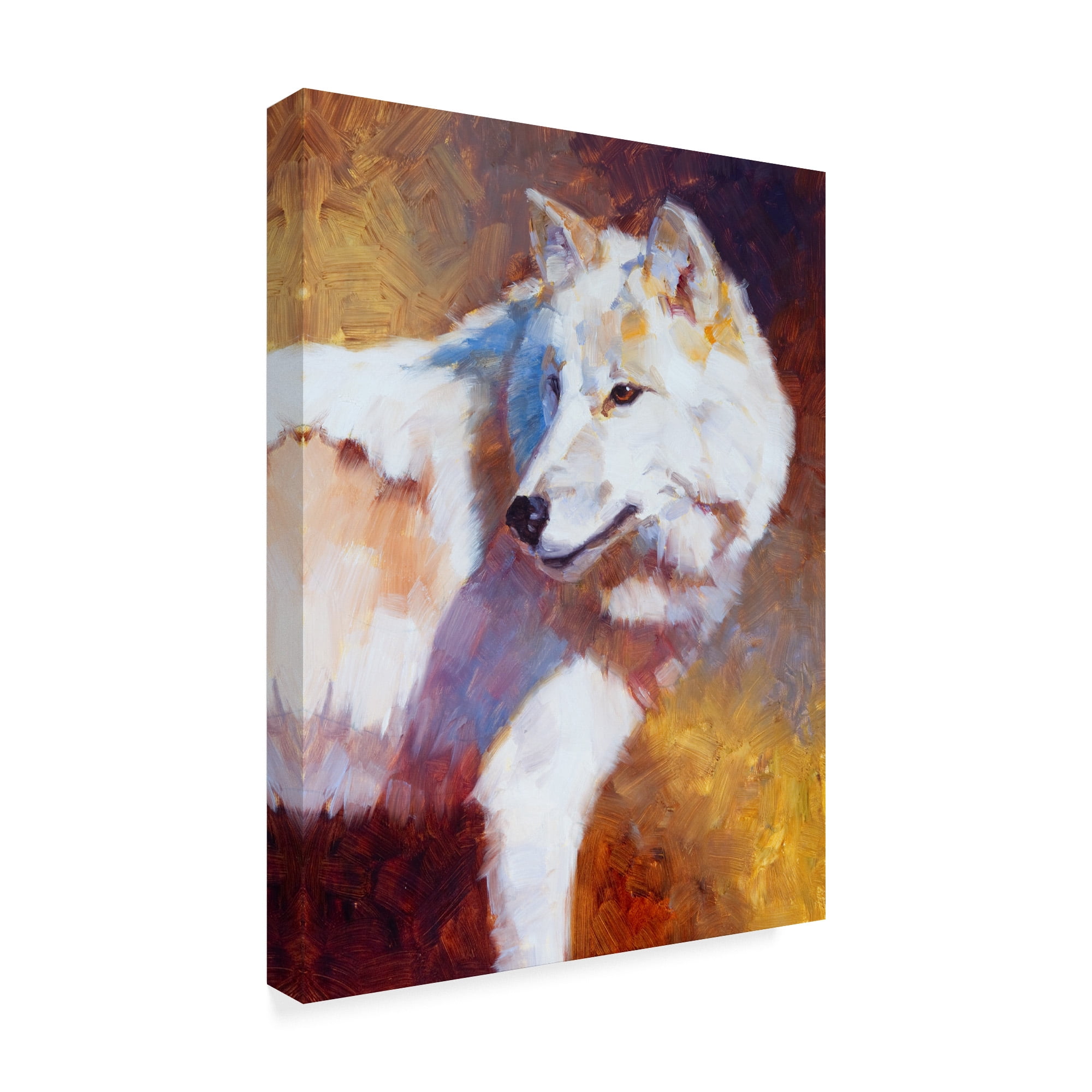 Trademark Fine Art 'White Wolf Color' Canvas Art by Julie T. Chapman