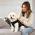 thumbnail image 7 of TELOLY 2026 New Dog Anxiety Jacket,Skin-Friendly Dog Calming Shirt-Dog Coat for Thunder,Fireworks and Separation-Keep Pet Calm Without Medicine & Training,Anti Anxiety Vest for Dogs (Dark Grey,Xl), 7 of 7