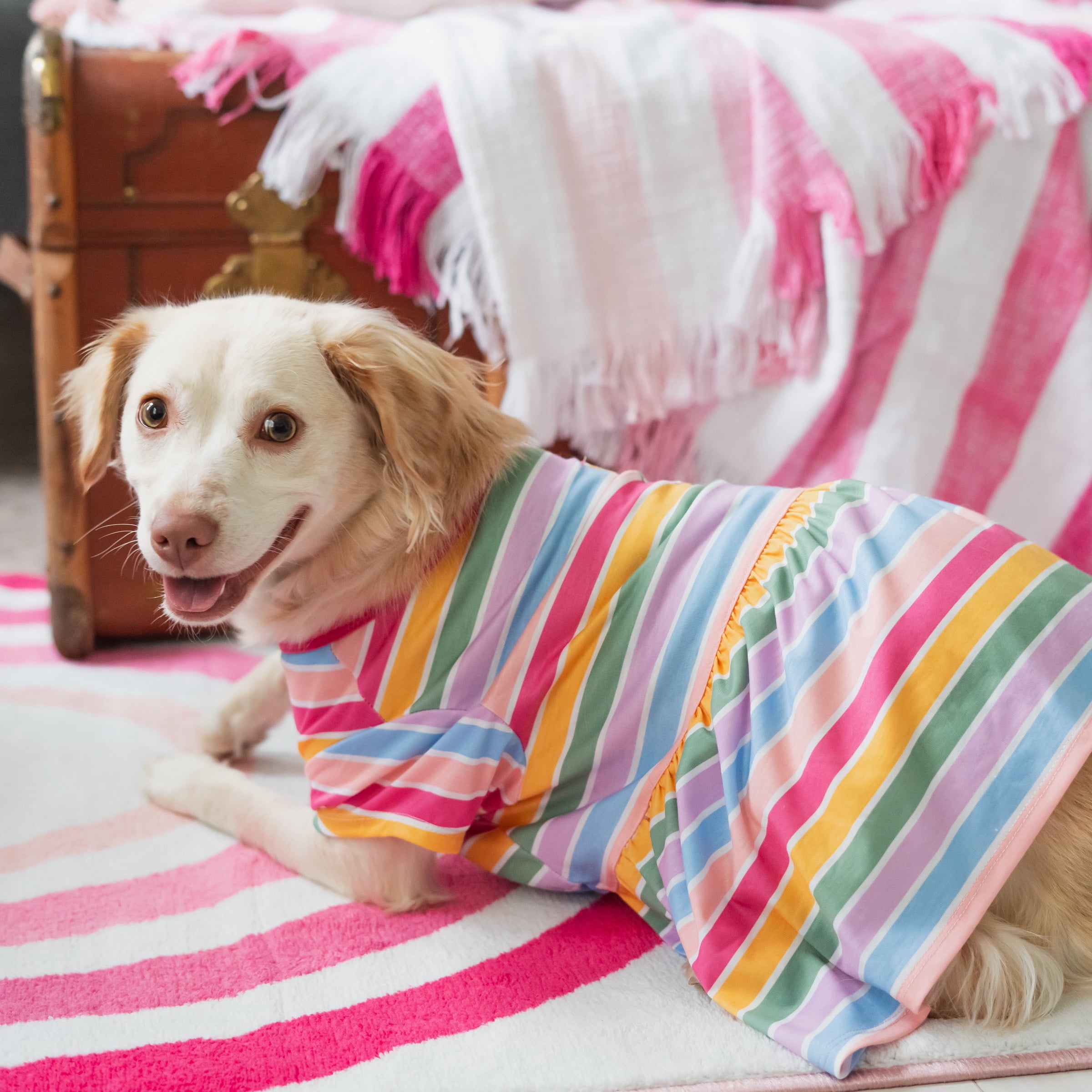 Gap Pet, Dog Clothes, Gap Striped T-Shirt, Dog and Cat Dress, Multi-Color, S