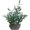 21" Olive Plant, variant on Olive 21'' Tall Artificial Olive Branches with Lifelike Leaves in Oval Rattan Woven Planter Faux Rustic Tabletop Greenery for Living Room Kitchen Bedroom Office Decor
