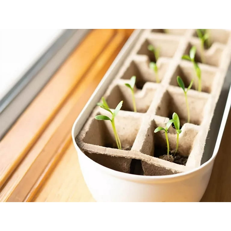 Great Value R20 Color Selectable Grow Light Bulb for Indoor Plants
