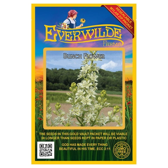 Everwilde Farms - 50 Bunch Flower Native Wildflower Seeds - Gold Vault Seed Packet