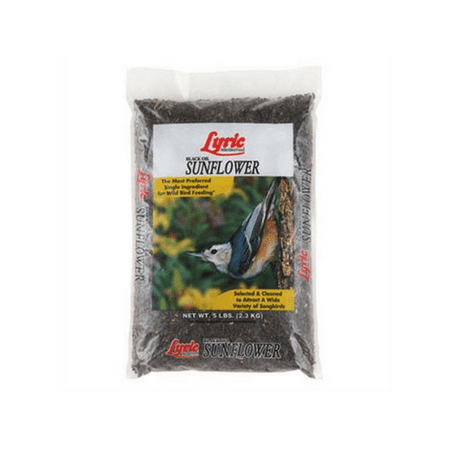 LEBANON SEABOARD 2647419 2647419/279 BLK OIL SNFLWR 5LB