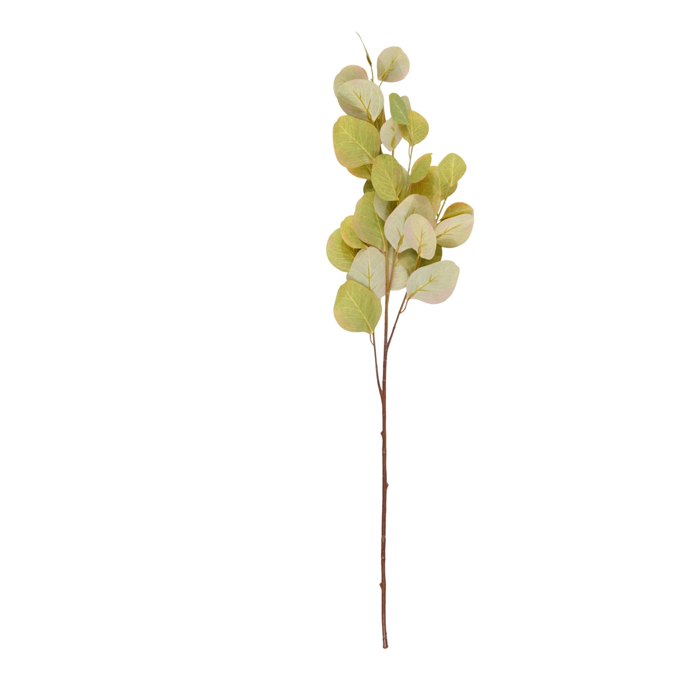 33" Leaf Tall Eucalyptus Stem Plastic Artificial Foliage, by DecMode (12 Count)