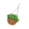 thumbnail image 3 of Fake Fake Fake Fake Basket Plant Decoración Decoración decorativa Patio de jardín realista Jardín Rústica Cesta de plantador colgante, 3 of 8