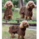 thumbnail image 5 of Toalla de albornoz para perros - Toalla de baño súper absorbente de secado rápido de microfibra para perros y gatos, suave, 5 of 5