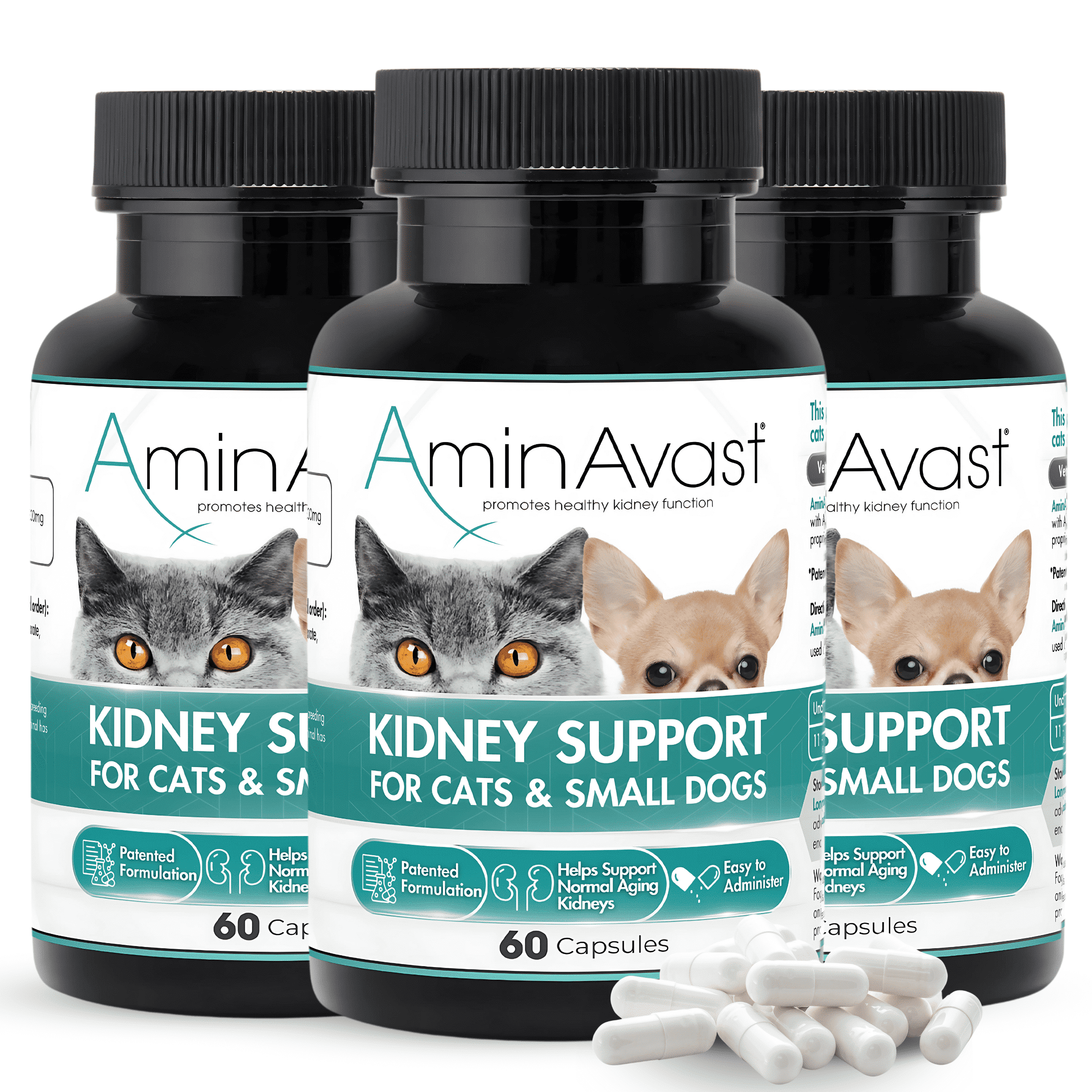 S-Adenosyl SAMeLQ Liver Support Chewable Tablets for Dogs [425 mg