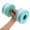 Mint Green, variant on 1 Pack Aquatic Dumbells, High-Density EVA-Foam Dumbbell, Water Aerobic Exercise Foam Dumbbell Pool Resistance, Water Fitness Barbells Hand Bar, Exercises Equipment for Weight Loss, Blue