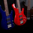 thumbnail image 1 of Pickup 2 Springs Electric Bass Pickup Metal Para El Rendimiento Del Instrumento Guitarra Eléctrica Jugadores Herramienta De Música Fyydes Pickup, 1 of 8