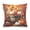 Orange, variant on Ryvnso Birds Autumn Leaves Pumpkins Throw Pillow Covers Couch Pillowcases Decor for Bed Sofa 16" x 16"