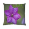thumbnail image 2 of Ahgly Color Focus Purple Company Coussin d'Intérieur, 18 Pouces par 18 Pouces, 2 of 6