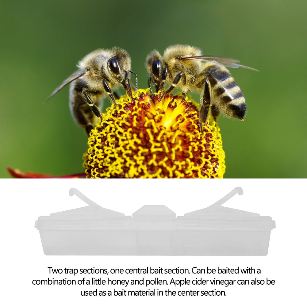 WALFRONT Baitable Reusable Hive Beetle Trap No Poison No Pesticides Beekeeping Tools, Reusable Beekeeping Tools, No Pesticides Beekeeping Tools