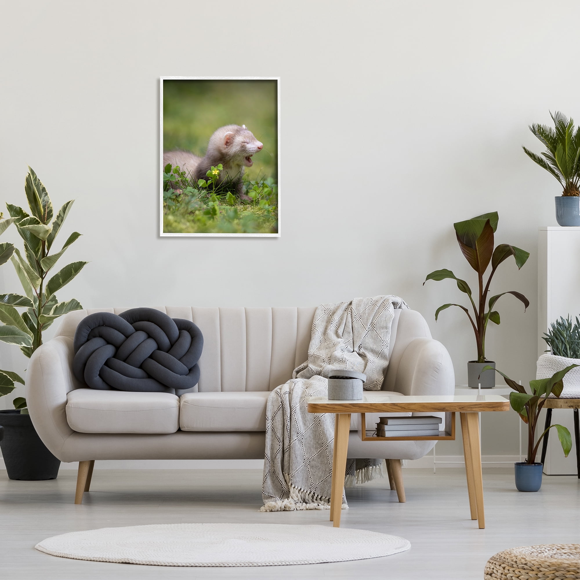 Stupell Industries Baby Ferret in Grass Animals & Insects Photography White Framed Art Print Wall Art, 24 x 30
