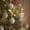 White, variant on Rciityk Pinks 33PCS 1.18In Light Gold Christmas Ball Ornaments Christmas Decorations for Xmas Tree with Hanging Loop Holiday Wedding Party Home Decor