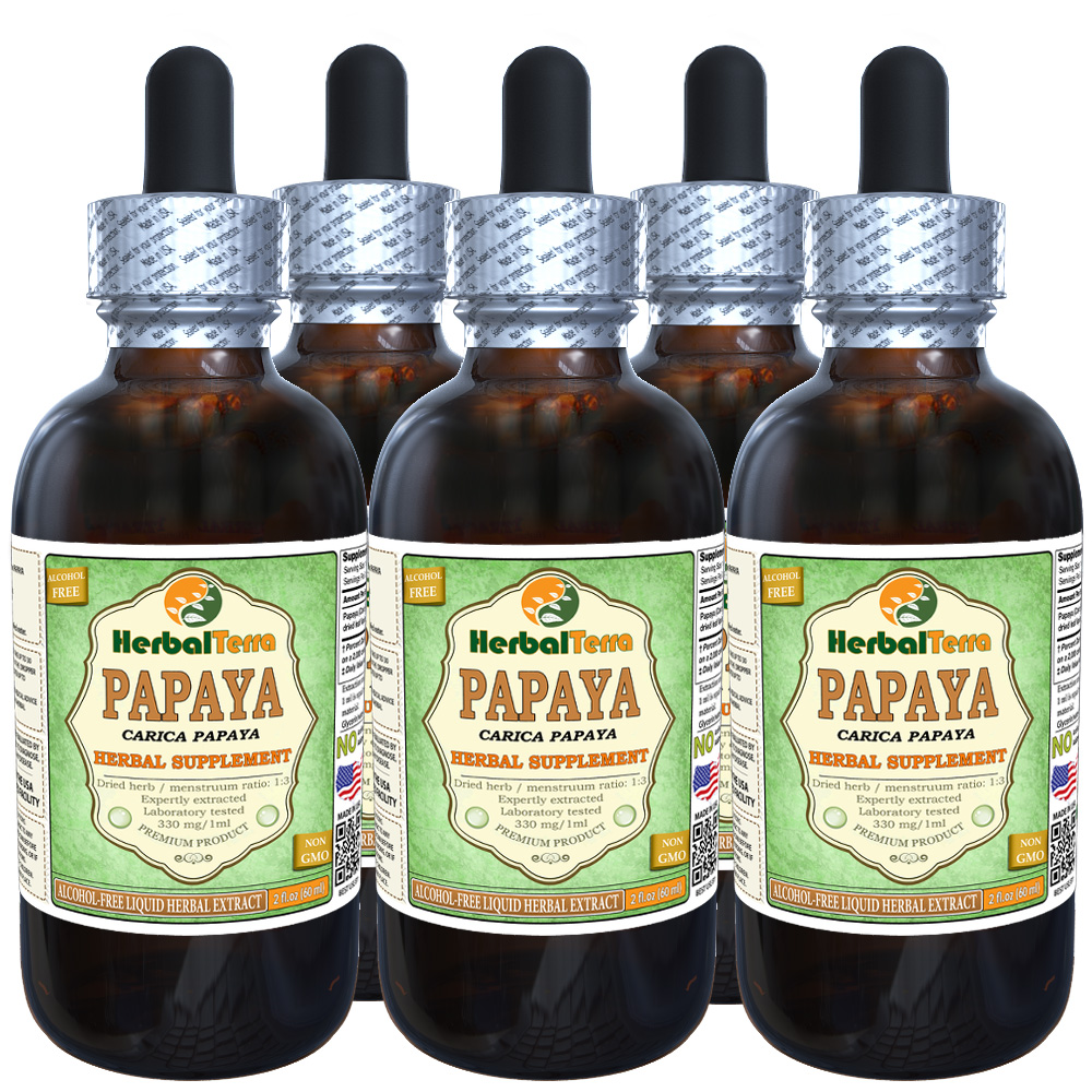 Papaya (Carica papaya) Glycerite, Organic Dried Leaves AlcoholFREE
