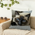 thumbnail image 2 of Virelaxpo Festive Animal Print Pillow Cover for Christmas and Home Decoration, 45x45cm Flock Material with Invisible Zipper, Ideal for Sofa Living Room Indoor Outdoor Use, 2 of 6