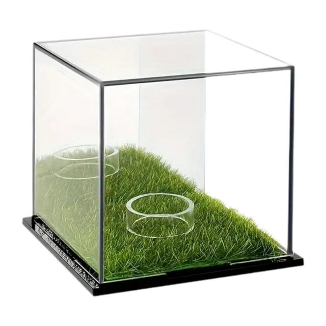 Vitrina transparente para pelotas de golf, caja de almacenamiento, accesorios multifunción, recuerdo, soporte único para pelotas, soporte para objetos