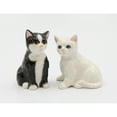 thumbnail image 3 of Ceramic Cat Salt and Pepper Shaker Set Black and White Gift for Cat, 3 of 3