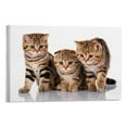 thumbnail image 1 of Three Little Kitties Canvas Wall Art Decor, Horizontal Version Artwork Modern Home Decor, Ready to Hang, 1 of 6