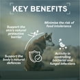 thumbnail image 5 of Echo Dry Dog Food for Ear Health & Food Sensitivities, Grain-Free, 8.8 lb, 5 of 16