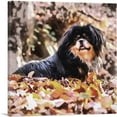 thumbnail image 1 of ARTCANVAS Tibetan Spaniel Dog Breed Canvas Art Print - Size: 18" x 18" (0.75" Deep), 1 of 9