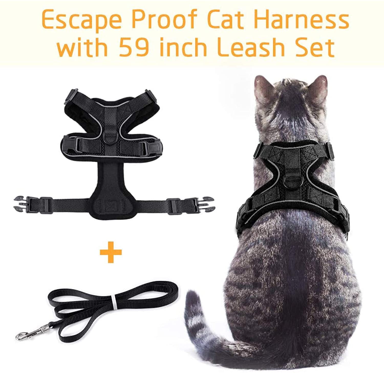 cat harness near me