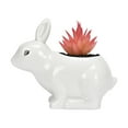 Animal Flowerpot White Porcelain Pot Rabbit Flower Pot Indoor Tree ...