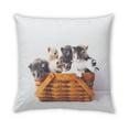 thumbnail image 2 of Ahgly Company Cat Cats Indoor Throw Pillow, 18 inch by 18 inch, 2 of 6