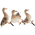 thumbnail image 2 of Qumonin Metal Duck Garden Stakes, Yard Art Animals for Outdoor Decor (YKLU071A+B+C), 2 of 5