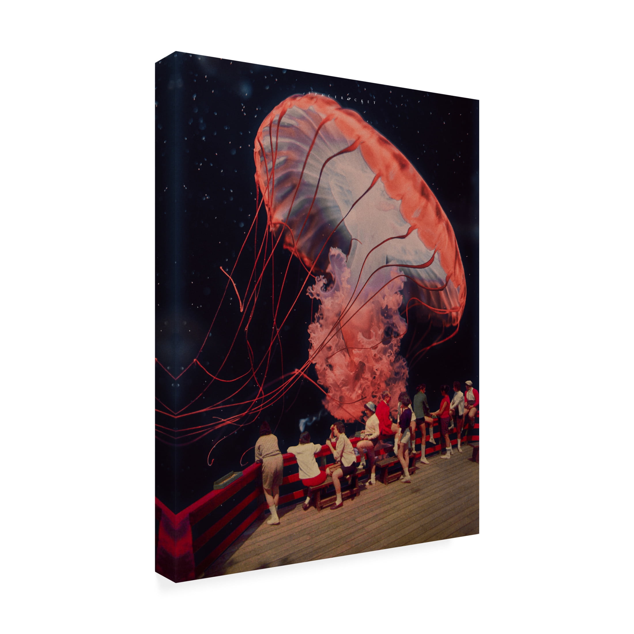Trademark Fine Art spacerocket art 310 Canvas Wall Art