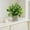 Multicolor B, variant on EWASWON Small Artificial Potted Plant, Realistic Fake Plant for Home Office Desk Decor, Maintenance-Free Faux Potted Greenery, Green Tabletop Centerpiece