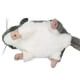 thumbnail image 5 of SAYOO Muñeco de peluche de peluche para niñas y niños, juguete de tamaño portátil con forma de animal de dibujos animados, regalo de cumpleaños, Navidad, boda, fiesta SAYOO  casual, 5 of 8