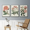 thumbnail image 5 of Pink Floral Mix IV - Framed Premium Gallery Wrapped Canvas L Frame 3 Piece Set - Ready to Hang, 5 of 9