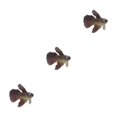thumbnail image 3 of Thinsony Beautifully Crafted Luminous Artificial Simulation Goldfish For Aquariums Tan brown 3Set, 3 of 6