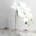thumbnail image 3 of SPRING PARK Artificial Orchid Flowers , Phalaenopsis, Fake Plastic Orchid Flowers, Decoration for Home Office, Wedding Bouquets, 3 of 6