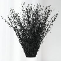 Dried Flowers Babys Breath Bouquet, – 17 Inch 3500 Preserved Natural Flowers, Dried Floral Arrangements for Wedding Decor, Farmhouse Vase Crafts, DIY Wreath, Home Party Decoration, Black