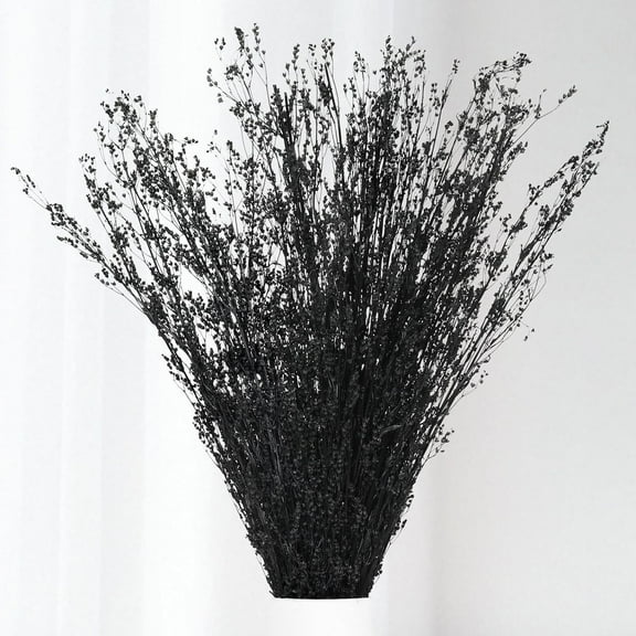 Dried Flowers Babys Breath Bouquet, – 17 Inch 3500 Preserved Natural Flowers, Dried Floral Arrangements for Wedding Decor, Farmhouse Vase Crafts, DIY Wreath, Home Party Decoration, Black