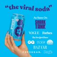 thumbnail image 6 of Poppi Sparkling Prebiotic Soda Beverage with Apple Cider Vinegar, Seltzer Water and Fruit Juice, New Obsessions Variety Pack, 12 Fl Oz, Pack of 12, Packaging May Vary, 6 of 6