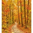 thumbnail image 3 of Ambesonne Fall Duvet Cover Sets, Pathway in the Wilderness, 2-King, Orange Pale Green Brown, 3 of 3